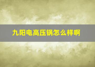 九阳电高压锅怎么样啊