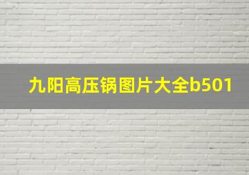 九阳高压锅图片大全b501