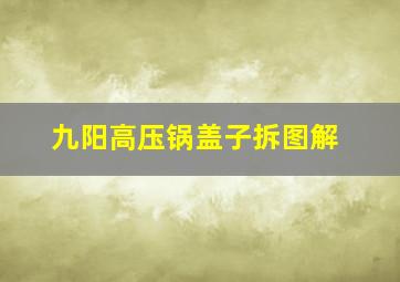 九阳高压锅盖子拆图解