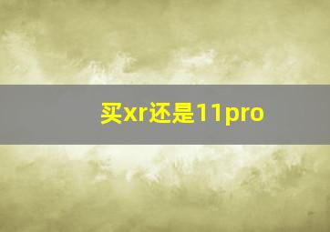 买xr还是11pro