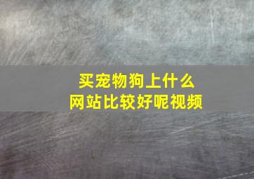 买宠物狗上什么网站比较好呢视频