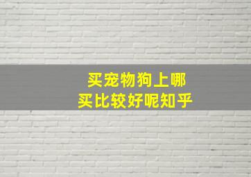 买宠物狗上哪买比较好呢知乎