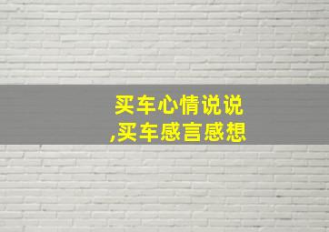 买车心情说说,买车感言感想