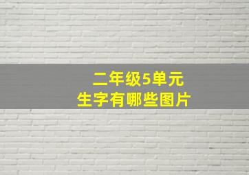 二年级5单元生字有哪些图片