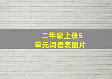 二年级上册5单元词语表图片