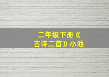 二年级下册《古诗二首》小池