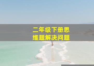 二年级下册思维题解决问题