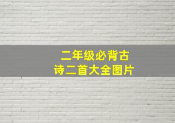 二年级必背古诗二首大全图片