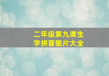 二年级第九课生字拼音图片大全