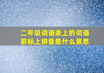 二年级词语表上的词语前标上拼音是什么意思