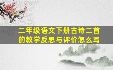 二年级语文下册古诗二首的教学反思与评价怎么写