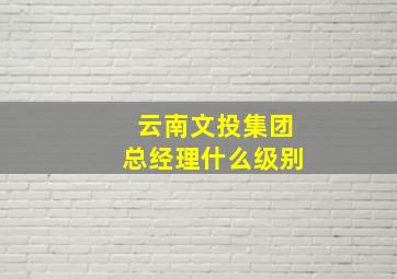 云南文投集团总经理什么级别