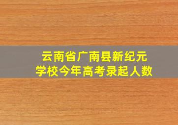 云南省广南县新纪元学校今年高考录起人数