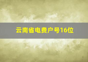 云南省电费户号16位