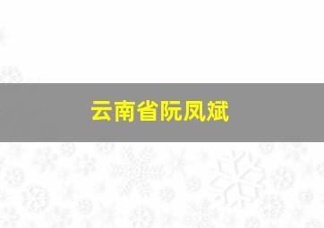 云南省阮凤斌