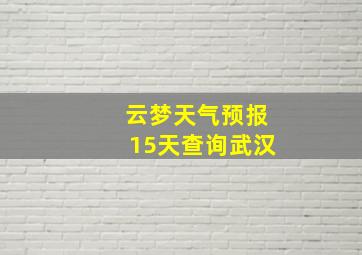 云梦天气预报15天查询武汉