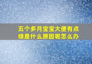 五个多月宝宝大便有点绿是什么原因呢怎么办