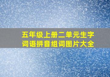 五年级上册二单元生字词语拼音组词图片大全