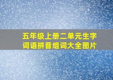 五年级上册二单元生字词语拼音组词大全图片