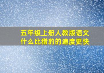 五年级上册人教版语文什么比猎豹的速度更快