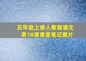 五年级上册人教版语文第18课课堂笔记图片