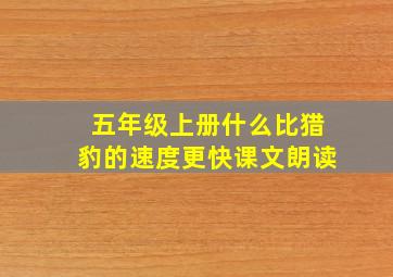 五年级上册什么比猎豹的速度更快课文朗读