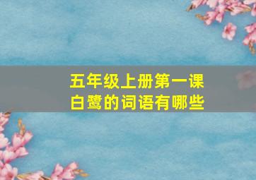 五年级上册第一课白鹭的词语有哪些