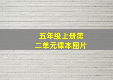 五年级上册第二单元课本图片