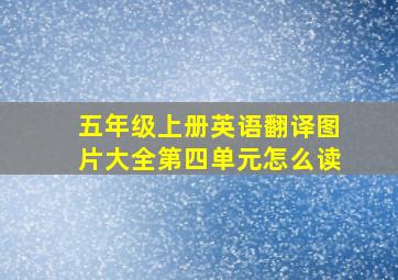 五年级上册英语翻译图片大全第四单元怎么读