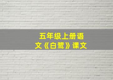 五年级上册语文《白鹭》课文