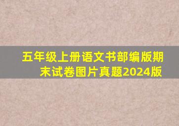 五年级上册语文书部编版期末试卷图片真题2024版