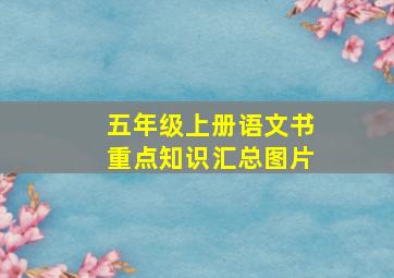 五年级上册语文书重点知识汇总图片