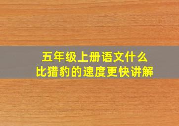 五年级上册语文什么比猎豹的速度更快讲解