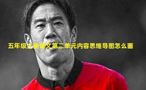 五年级上册语文第二单元内容思维导图怎么画