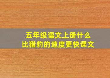 五年级语文上册什么比猎豹的速度更快课文