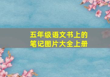 五年级语文书上的笔记图片大全上册