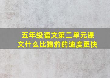 五年级语文第二单元课文什么比猎豹的速度更快