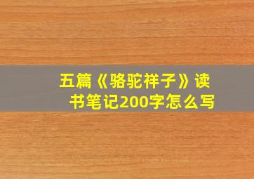 五篇《骆驼祥子》读书笔记200字怎么写