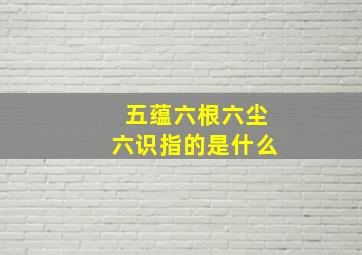 五蕴六根六尘六识指的是什么