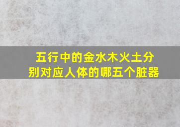 五行中的金水木火土分别对应人体的哪五个脏器