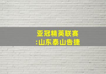 亚冠精英联赛:山东泰山告捷