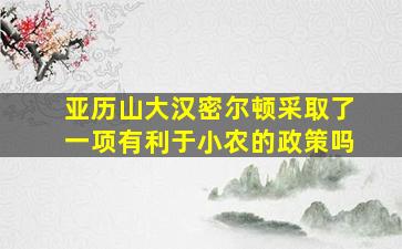 亚历山大汉密尔顿采取了一项有利于小农的政策吗