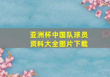 亚洲杯中国队球员资料大全图片下载