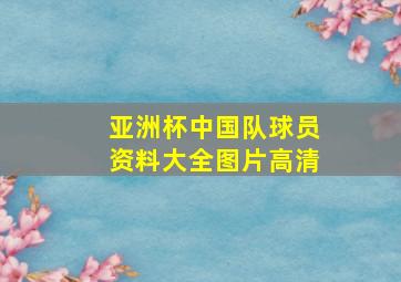 亚洲杯中国队球员资料大全图片高清