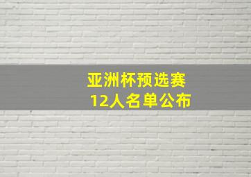 亚洲杯预选赛12人名单公布