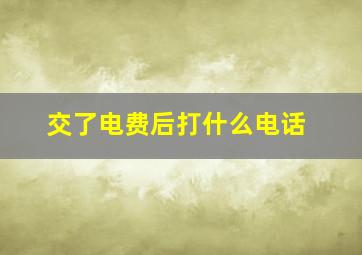 交了电费后打什么电话