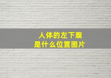 人体的左下腹是什么位置图片