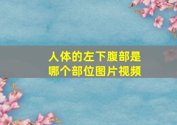 人体的左下腹部是哪个部位图片视频