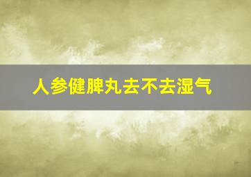 人参健脾丸去不去湿气