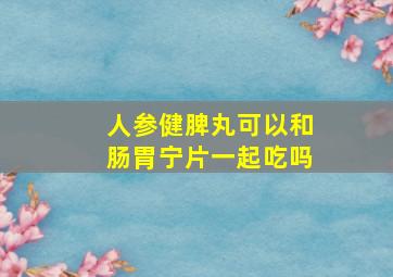 人参健脾丸可以和肠胃宁片一起吃吗